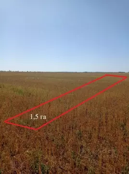 Участок в Крым, Сакский район, с. Добрушино  (152.4 сот.)