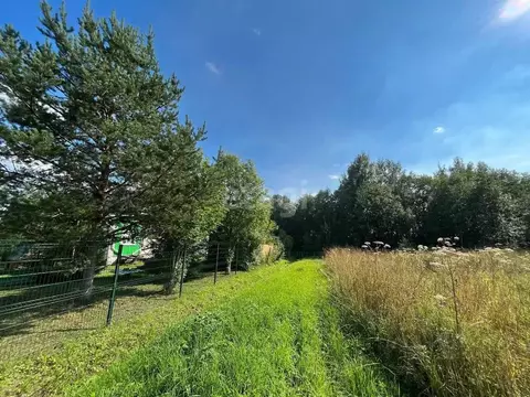 Участок в Вологодская область, Череповецкий район, Яргомжское с/пос  ...