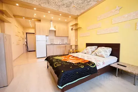 Студия Московская область, Ногинск Богородский городской округ, ул. ...