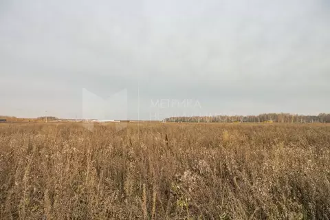 Участок в Тюменская область, Тюменский муниципальный округ, с. ...