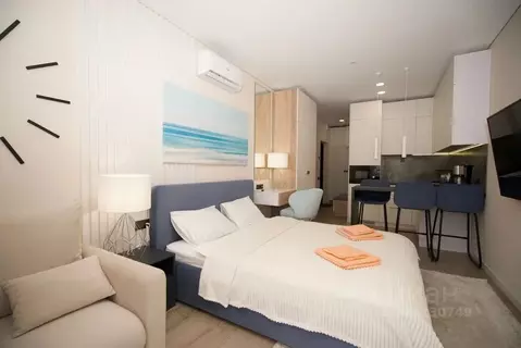 Студия Крым, Алушта ул. Западная, 4к3 (32.0 м)