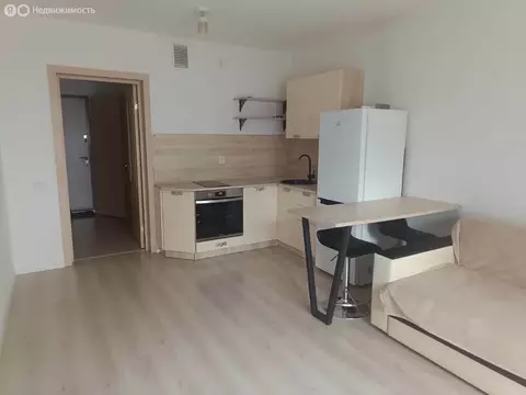 Квартира-студия: Екатеринбург, улица 40-летия Комсомола, 24 (25.6 м)