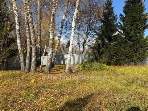 Участок в Рязанская область, Спасский муниципальный округ, с. ...