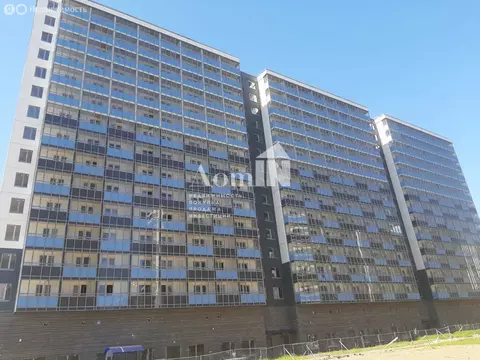 2-комнатная квартира: Мурино, Графская улица, 6к4 (50.9 м)