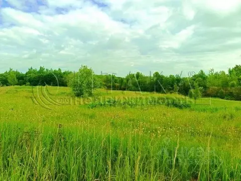 Участок в Псковская область, Псковский район, Писковичская волость, д. ...
