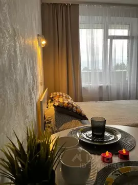 Студия Псковская область, Псков ул. Алексея Алехина, 14 (27.0 м)