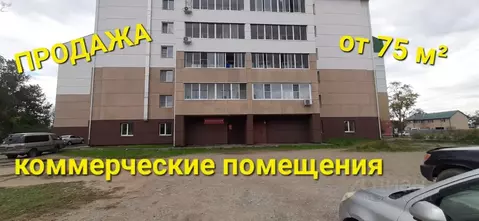 Помещение свободного назначения в Еврейская автономная область, ...