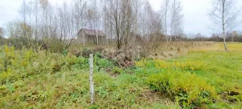 Участок в Ярославская область, Некрасовский муниципальный округ, д. ...