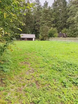 Участок в Ленинградская область, Волховский район, Пашское с/пос, д. ...