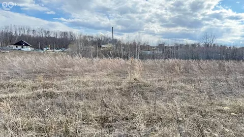 Участок в Амурская область, Благовещенский муниципальный округ, село ...
