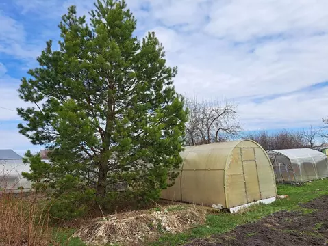 Участок в Курганская область, Курган Черемушки-4 СНТ, ул. Нижняя (11.0 ...