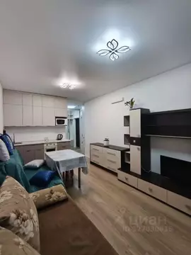 Студия Московская область, Мытищи ул. Стрельбище Динамо, 10 (24.0 м)