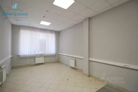 Офис в Ульяновская область, Димитровград просп. Димитрова, 8А (24 м)