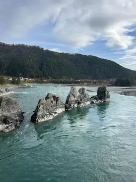 Участок в Алтай, Чемальский район, с. Анос  (15.1 сот.)