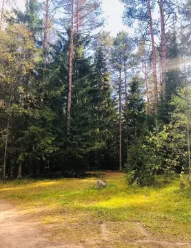 Участок в Ленинградская область, Выборгский район, Первомайское с/пос, ...