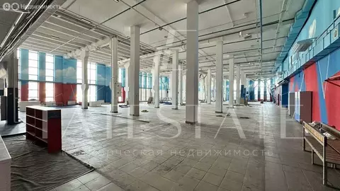 Помещение свободного назначения (1000 м)