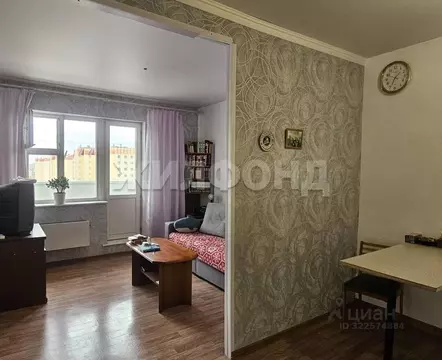 2-к кв. Новосибирская область, Новосибирск ул. Виктора Уса, 4 (56.7 м)