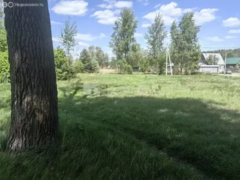 Участок в Новосибирский район, Кудряшовский сельсовет, некоммерческое ...