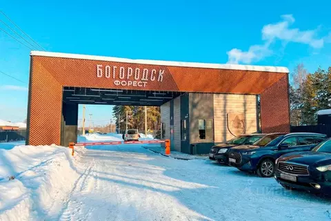 Участок в Московская область, Богородский городской округ, Богородск ...