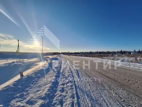 Участок в Свердловская область, Белоярский муниципальный округ Р-354, ...