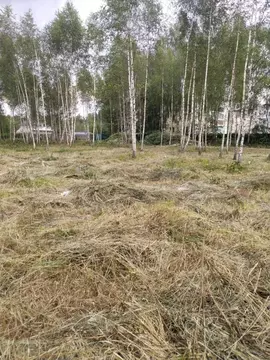 Участок в Московская область, Хотьково Сергиево-Посадский район, ул. ...