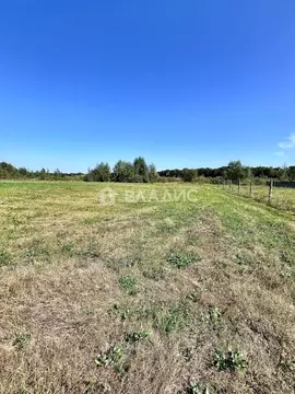 Участок в Воронежская область, Рамонь рп  (6.0 сот.)