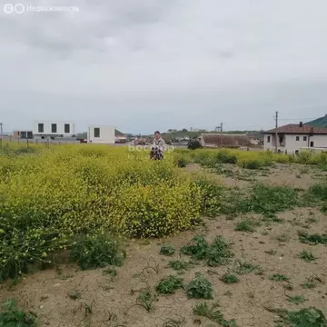 Участок в Коктебель, улица Ильюшина (8 м)