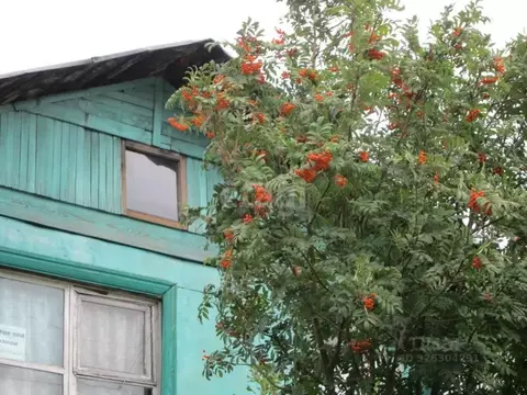 Дом в Бурятия, Прибайкальский район, Колос СНТ 292 (53 м)