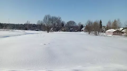 Участок в Московская область, Можайский муниципальный округ, д. ...