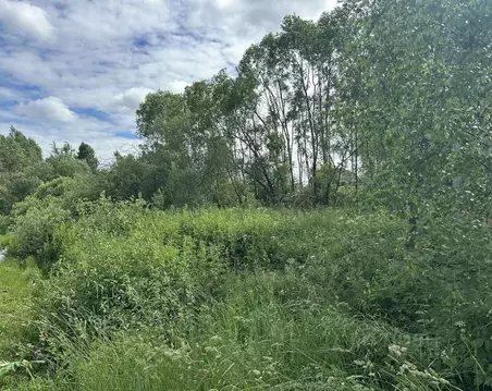Участок в Московская область, Рузский муниципальный округ, д. Макеиха  ...