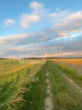 Участок в Крым, Сакский район, с. Суворовское ш. Красноярское (7.5 ...