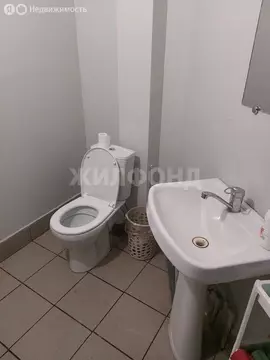 Торговая площадь (65 м)