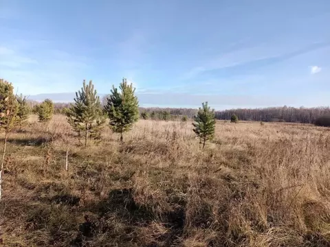 Участок в Тюменская область, Тюменский муниципальный округ, ...