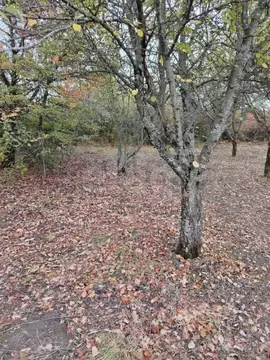 Участок в Белгородская область, Белгород  (6.0 сот.)