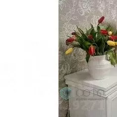 2-к кв. Калининградская область, Калининград ул. Ломоносова, 2 (56.0 ...