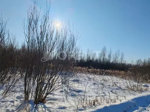 Участок в Тюменская область, Тюмень Царево садовое товарищество, 575 ...