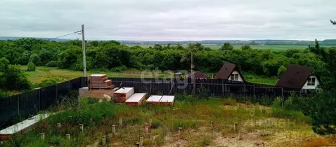 Участок в Воронежская область, Рамонский район, с. Ямное Комсомольская ...