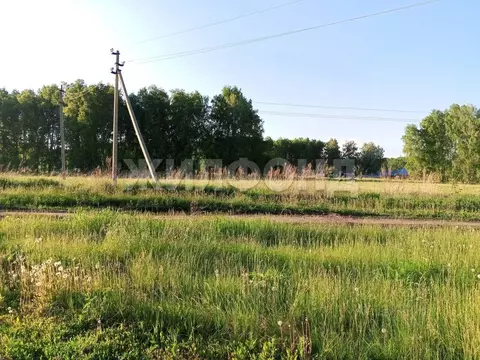 Участок в Новосибирская область, Новосибирский район, с. Ярково ...