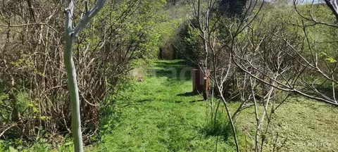 Участок в Краснодарский край, Геленджик городской округ, с. ...