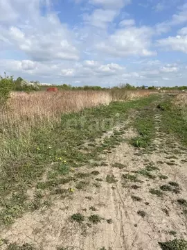 Участок в Калининградская область, Гурьевский муниципальный округ, ...