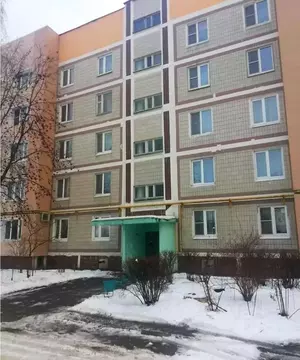 2-к кв. Московская область, Чехов муниципальный округ, д. Манушкино 18 ...