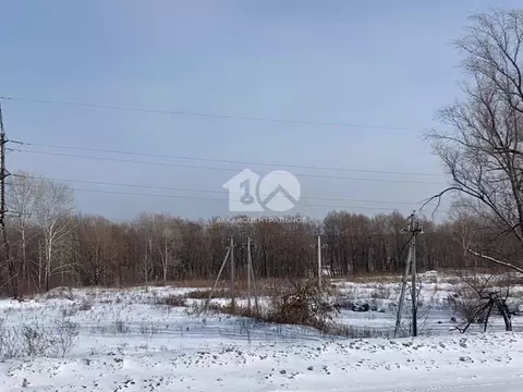 Участок в Новосибирская область, Новосибирский район, Кудряшовский ...