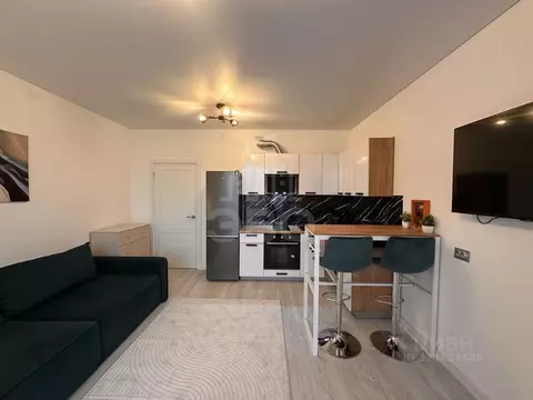 Студия Санкт-Петербург просп. Обуховской обороны, 36 (26.7 м)