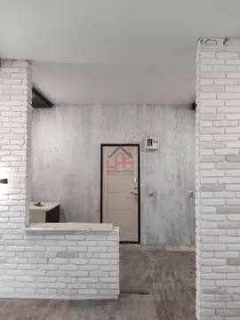 1-к кв. Ставропольский край, Ессентуки пер. Менделеева, 5А (22.0 м)