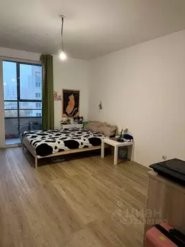 Студия Санкт-Петербург пос. Шушары, просп. Новгородский, 2к3 (25.0 м)