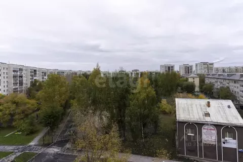 Студия Тюменская область, Тюмень Олимпийская ул., 32 (15.0 м)