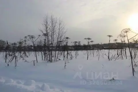 Участок в Московская область, Шаховская муниципальный округ, с. Белая ...