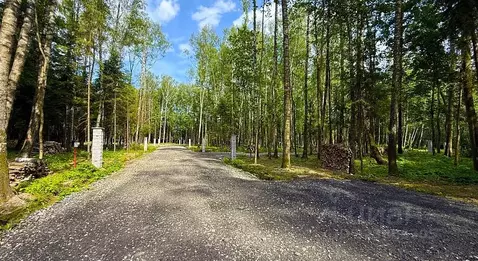 Участок в Московская область, Мытищи городской округ, д. Фелисово, ...