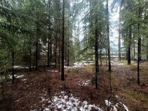 Участок в Ленинградская область, Гатчинский муниципальный округ, ...