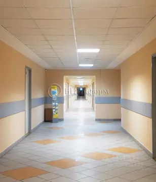 Офис в Санкт-Петербург Московский просп., 143 (76 м)